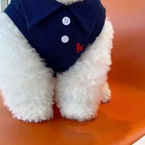 Dog Polo